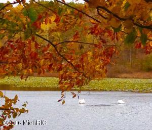 56325 M 40, Marcellus, MI 49067 photo 5