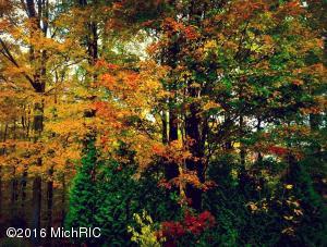 56325 M 40, Marcellus, MI 49067 photo 18