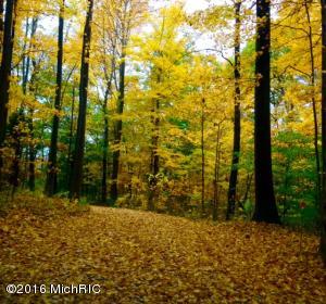 56325 M 40, Marcellus, MI 49067 photo 24
