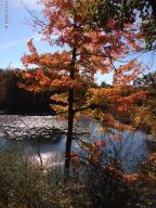56325 M 40, Marcellus, MI 49067 photo 22