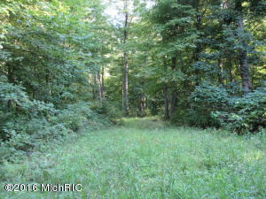 7180 Lehring Rd, Bancroft, MI 48414 photo 16