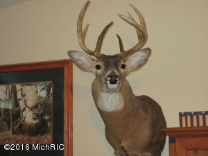7180 Lehring Rd, Bancroft, MI 48414 photo 27