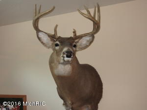 7180 Lehring Rd, Bancroft, MI 48414 photo 26