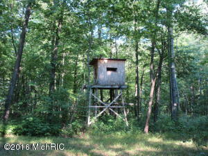 7180 Lehring Rd, Bancroft, MI 48414 photo 19