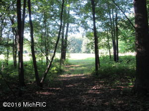 7180 Lehring Rd, Bancroft, MI 48414 photo 20