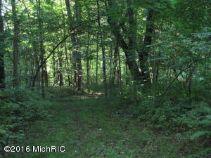 7180 Lehring Rd, Bancroft, MI 48414 photo 17