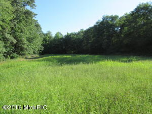 7180 Lehring Rd, Bancroft, MI 48414 photo 25
