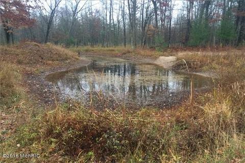 5203 E 2 Mile Rd, White Cloud, MI 49349 photo 1