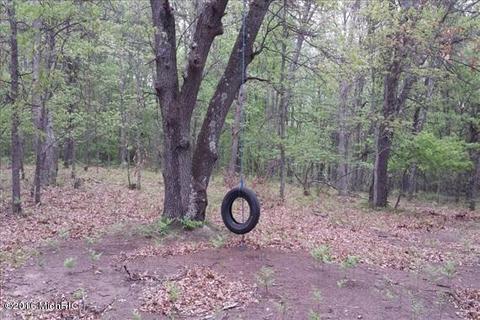 5203 E 2 Mile Rd, White Cloud, MI 49349 photo 8