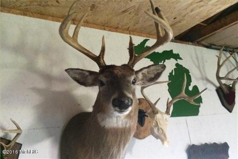 5203 E 2 Mile Rd, White Cloud, MI 49349 photo 9