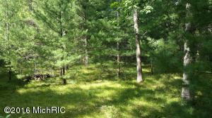 9762 S James St, Baldwin, MI 49304 photo 10