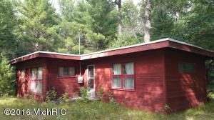 9762 S James St, Baldwin, MI 49304 photo 1