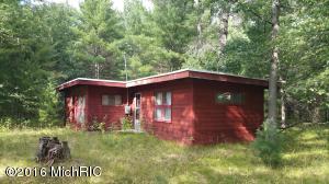 9762 S James St, Baldwin, MI 49304 photo 2