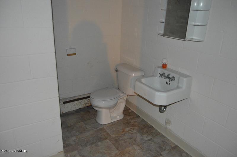 607 Pealer St, Three Rivers, MI 49093 photo 10