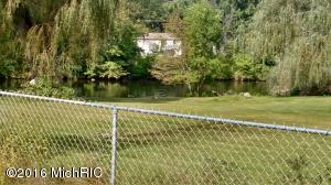 435 Birch St, Belding, MI 48809 photo 6