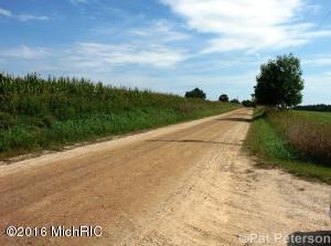 2131 W Hillis, Stanton, MI 48888 photo 27