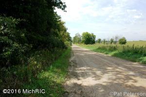 2131 W Hillis, Stanton, MI 48888 photo 28