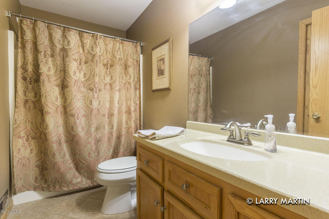 30 Flat River Dr, Lowell, MI 49331 photo 10