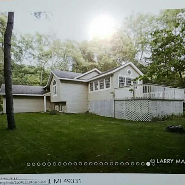 30 Flat River Dr, Lowell, MI 49331 photo 24