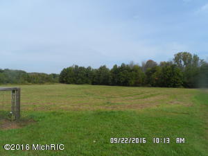 3509 Moore Rd, Bailey, MI 49303 photo 10