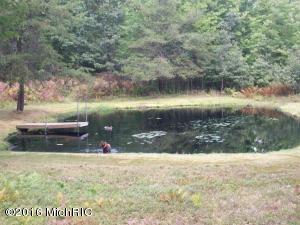 7058 E 40th St, Chase, MI 49623 photo 4