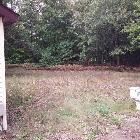 3033 Jackson, Bitely, MI 49309 photo 2