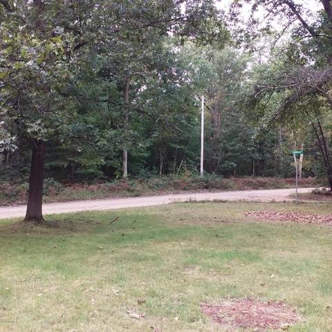 3033 Jackson, Bitely, MI 49309 photo 14