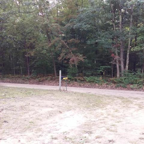3033 Jackson, Bitely, MI 49309 photo 17