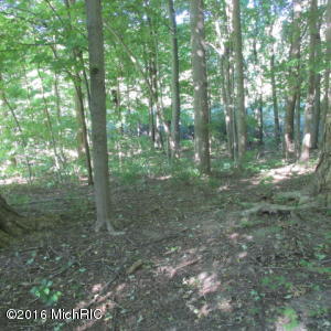 409 Able Rd, Buchanan, MI 49107 photo 13