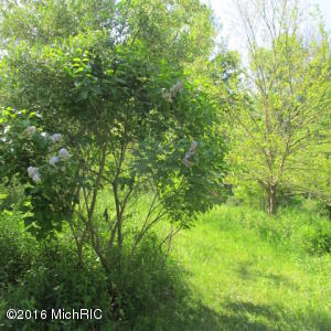 409 Able Rd, Buchanan, MI 49107 photo 21