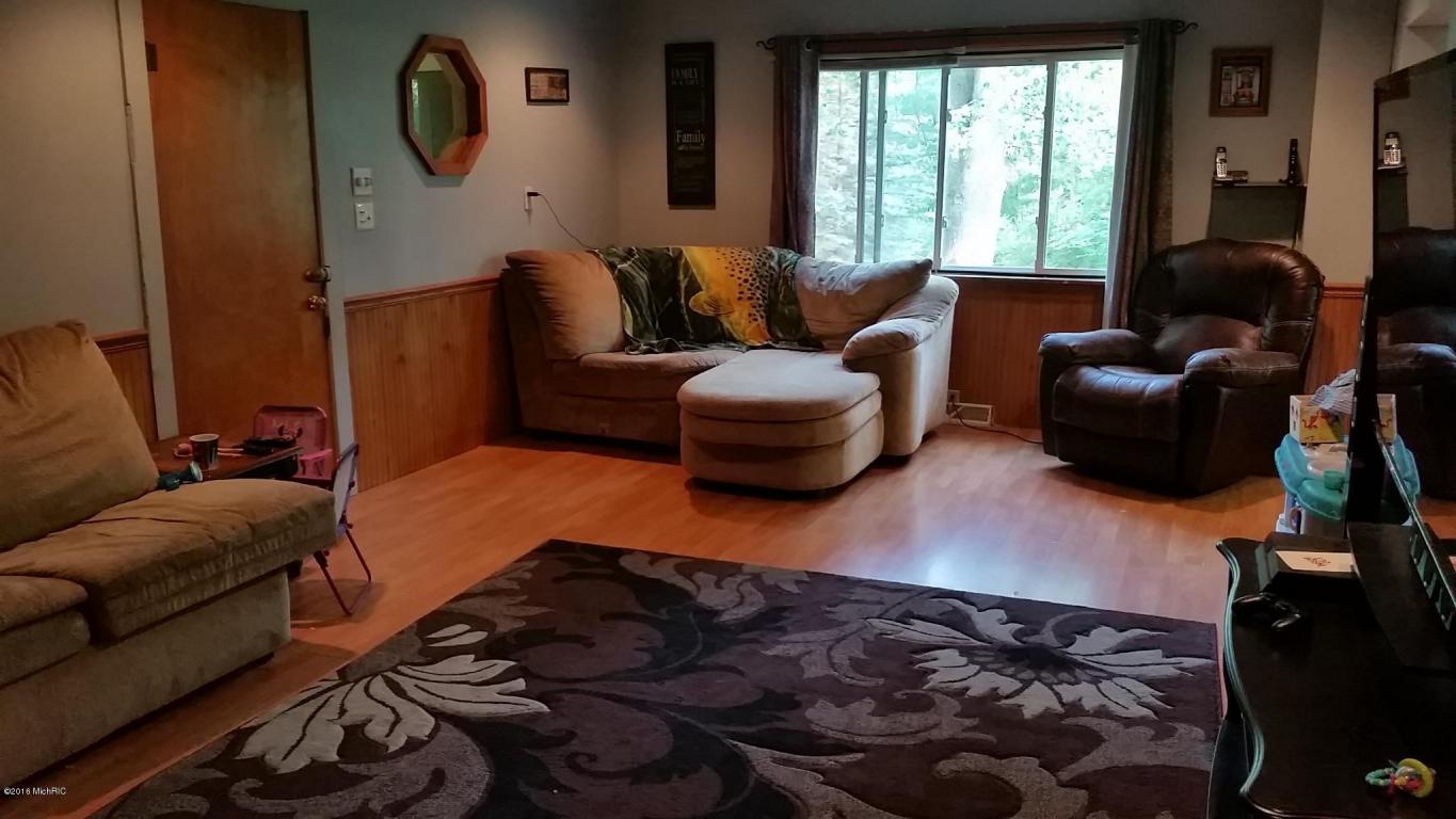 966 E Townline Rd, White Cloud, MI 49349 photo 17