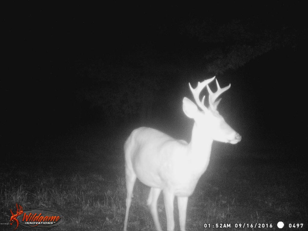 966 E Townline Rd, White Cloud, MI 49349 photo 63