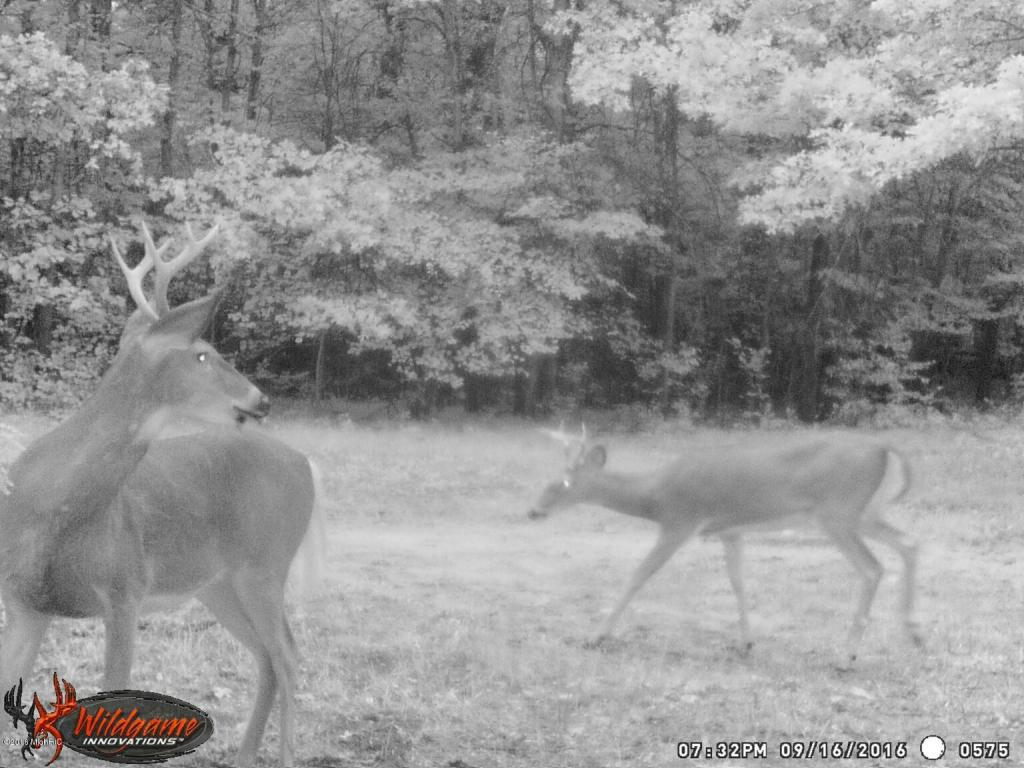 966 E Townline Rd, White Cloud, MI 49349 photo 5