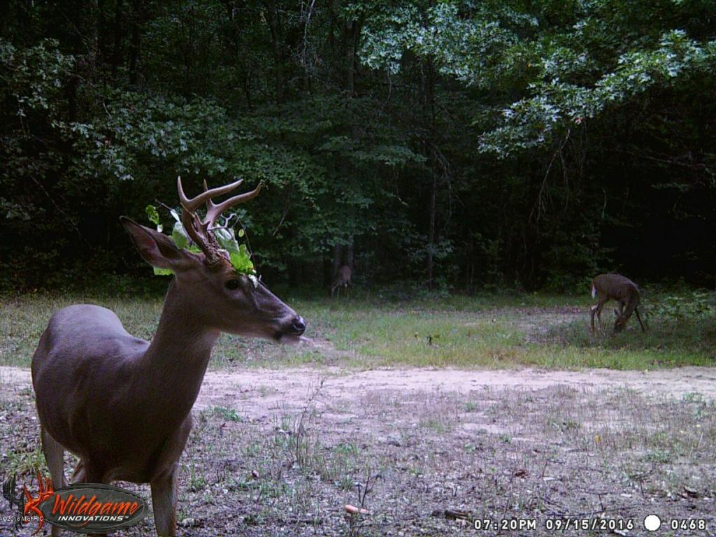 966 E Townline Rd, White Cloud, MI 49349 photo 72