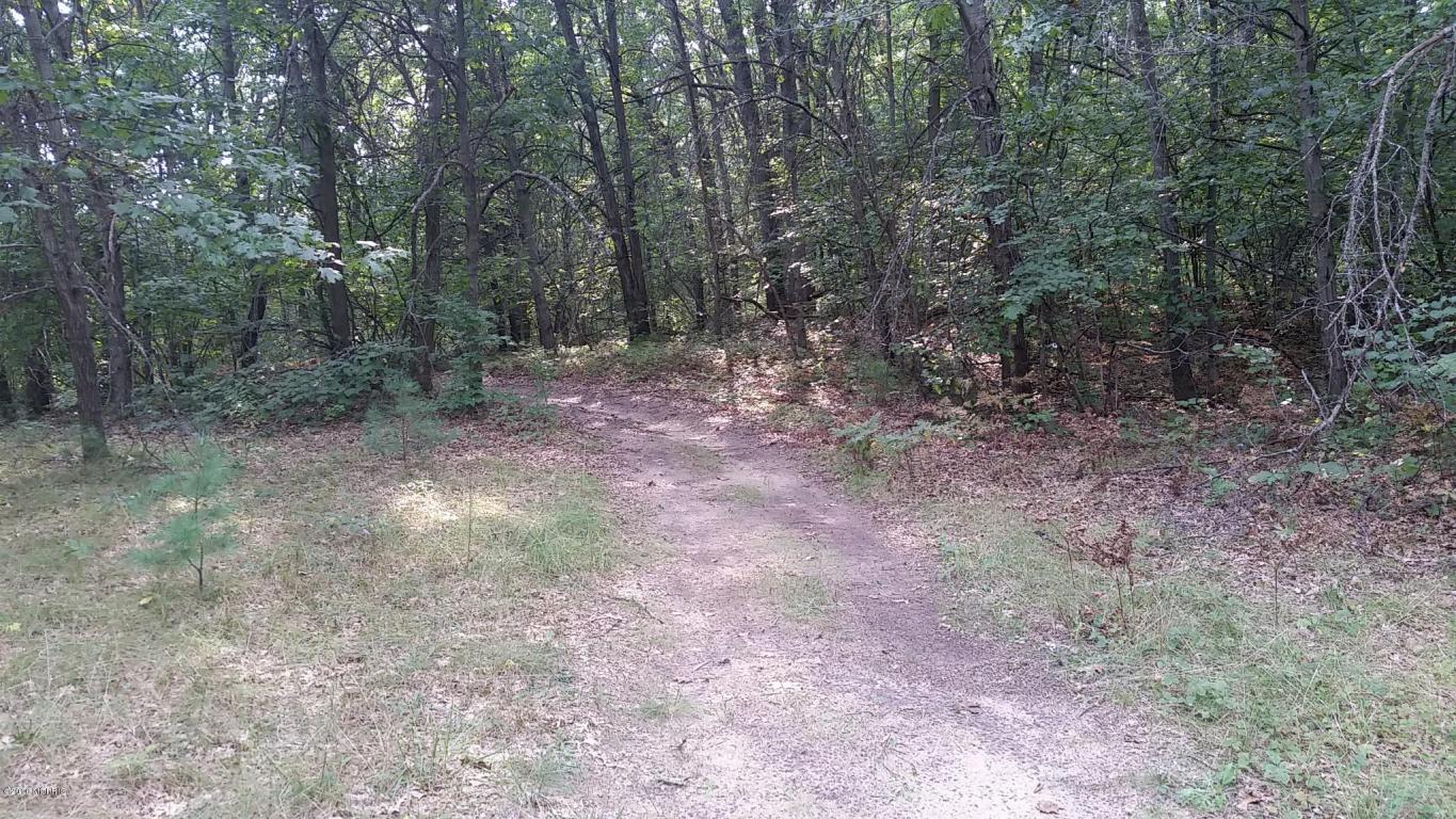 966 E Townline Rd, White Cloud, MI 49349 photo 78