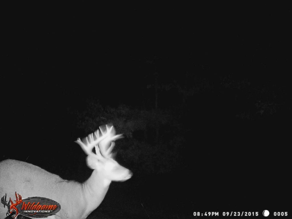 966 E Townline Rd, White Cloud, MI 49349 photo 57