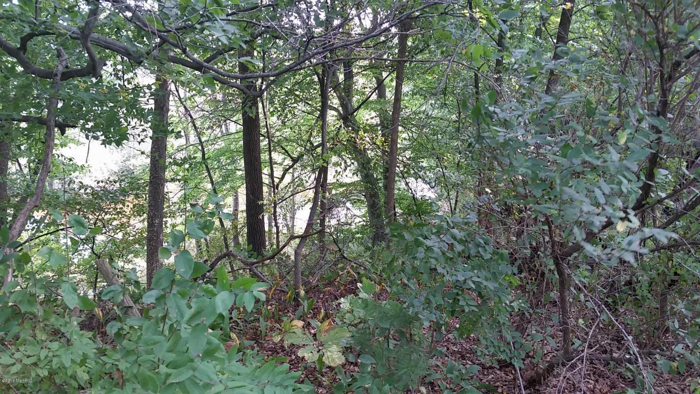 966 E Townline Rd, White Cloud, MI 49349 photo 55