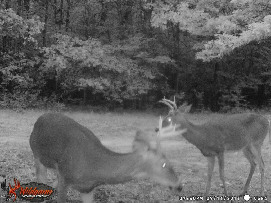 966 E Townline Rd, White Cloud, MI 49349 photo 65