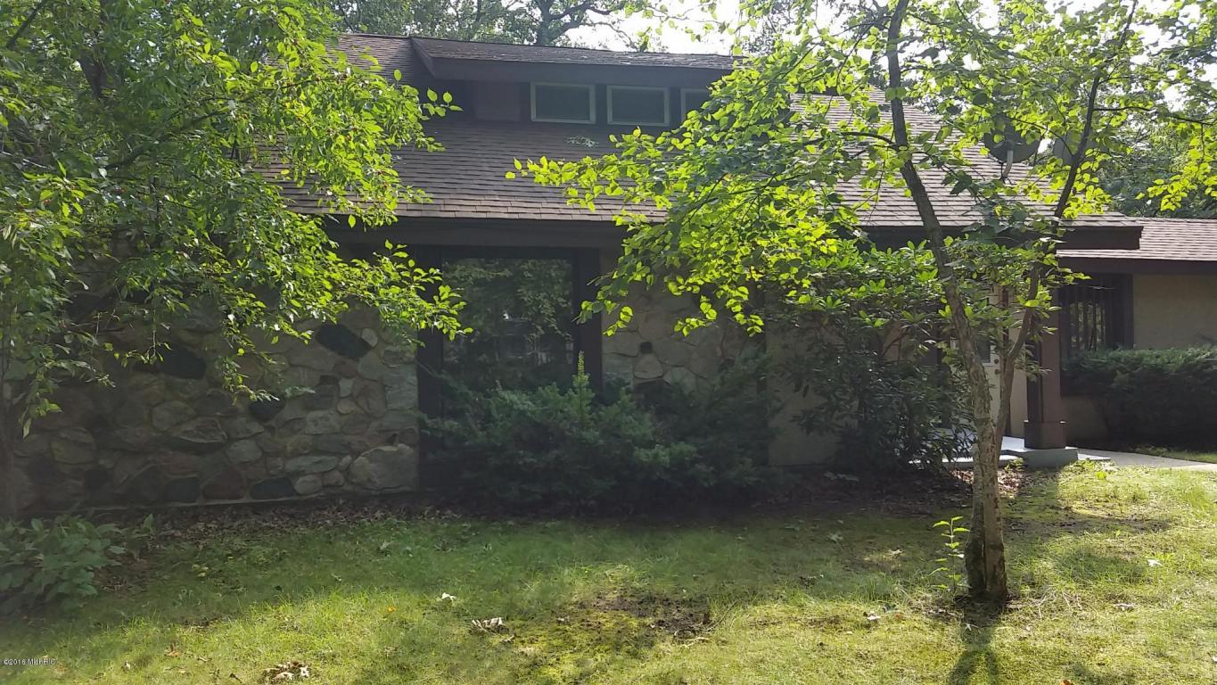 966 E Townline Rd, White Cloud, MI 49349 photo 7