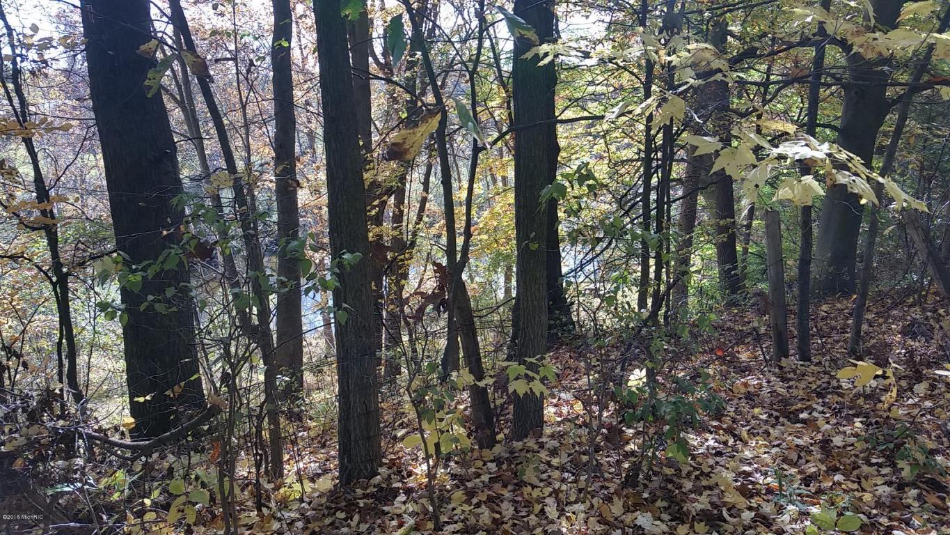 966 E Townline Rd, White Cloud, MI 49349 photo 83