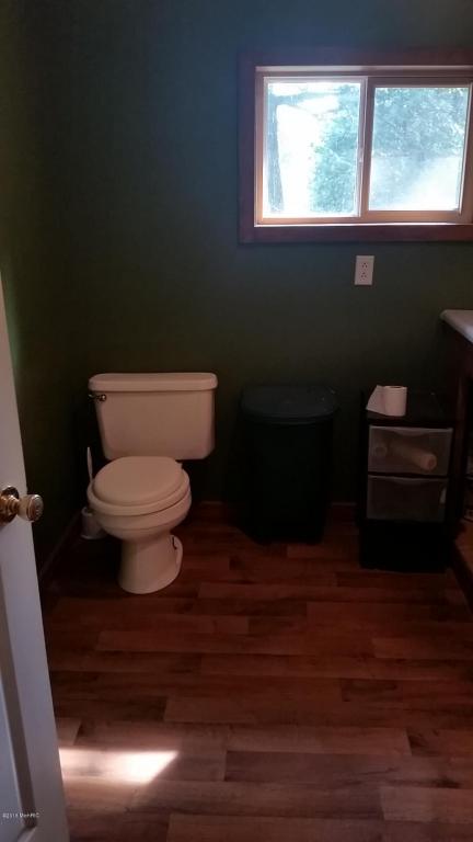 966 E Townline Rd, White Cloud, MI 49349 photo 14