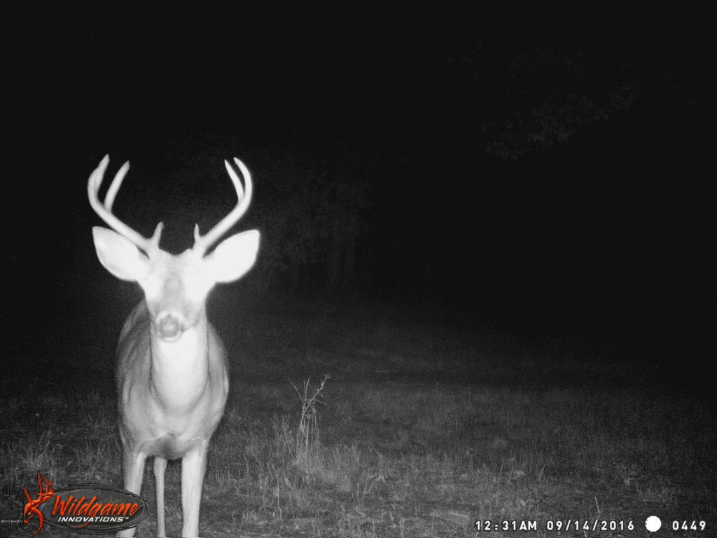 966 E Townline Rd, White Cloud, MI 49349 photo 62