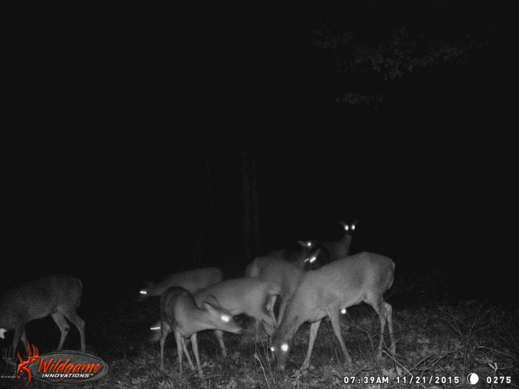 966 E Townline Rd, White Cloud, MI 49349 photo 61