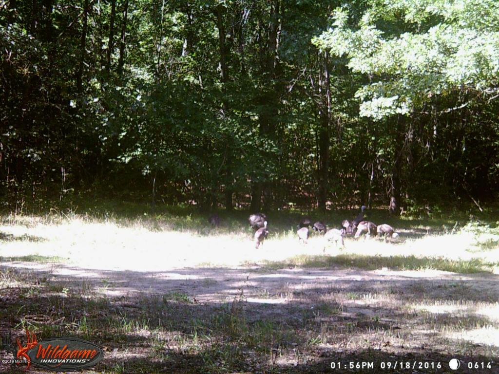 966 E Townline Rd, White Cloud, MI 49349 photo 71
