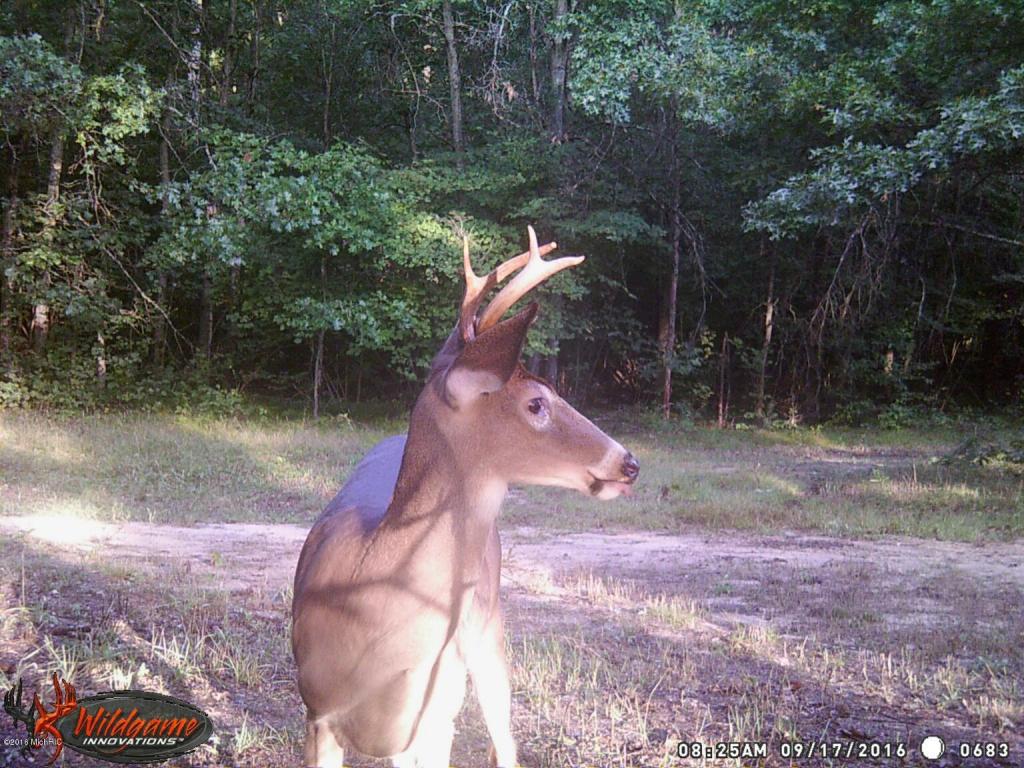 966 E Townline Rd, White Cloud, MI 49349 photo 69