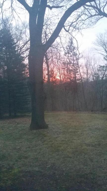 966 E Townline Rd, White Cloud, MI 49349 photo 81