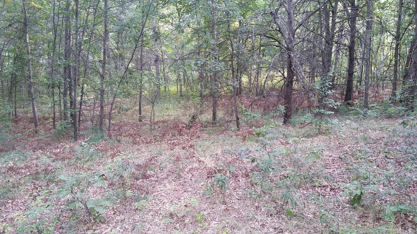 966 E Townline Rd, White Cloud, MI 49349 photo 77