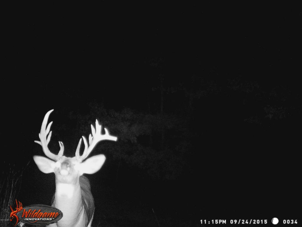 966 E Townline Rd, White Cloud, MI 49349 photo 58