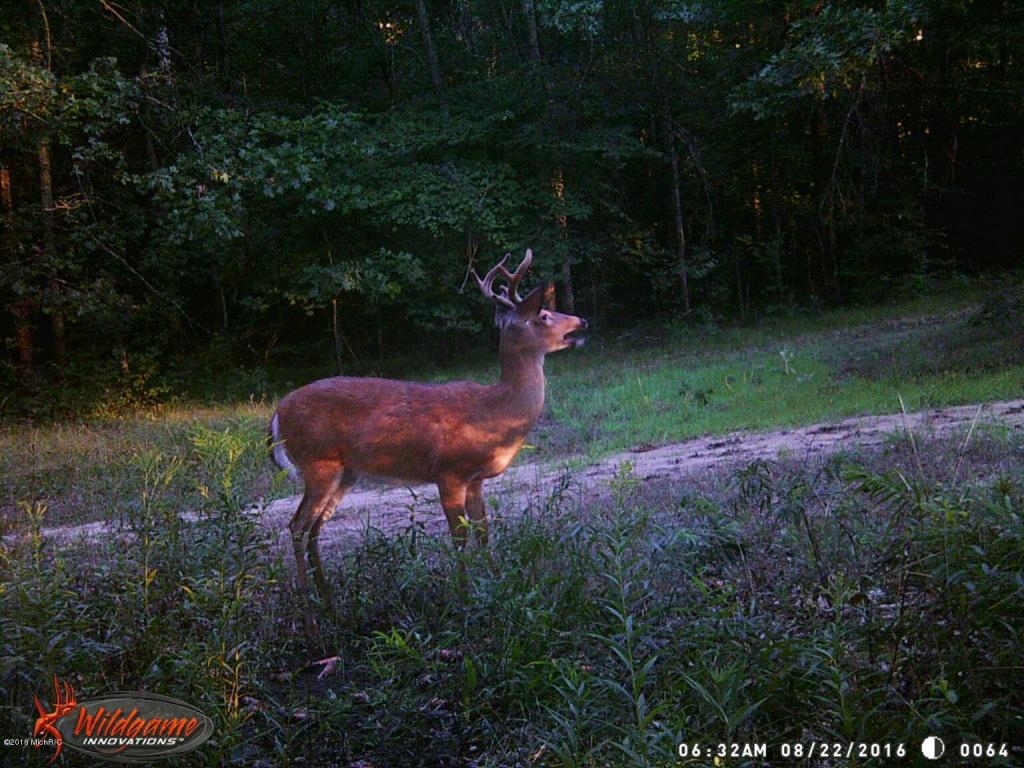 966 E Townline Rd, White Cloud, MI 49349 photo 59