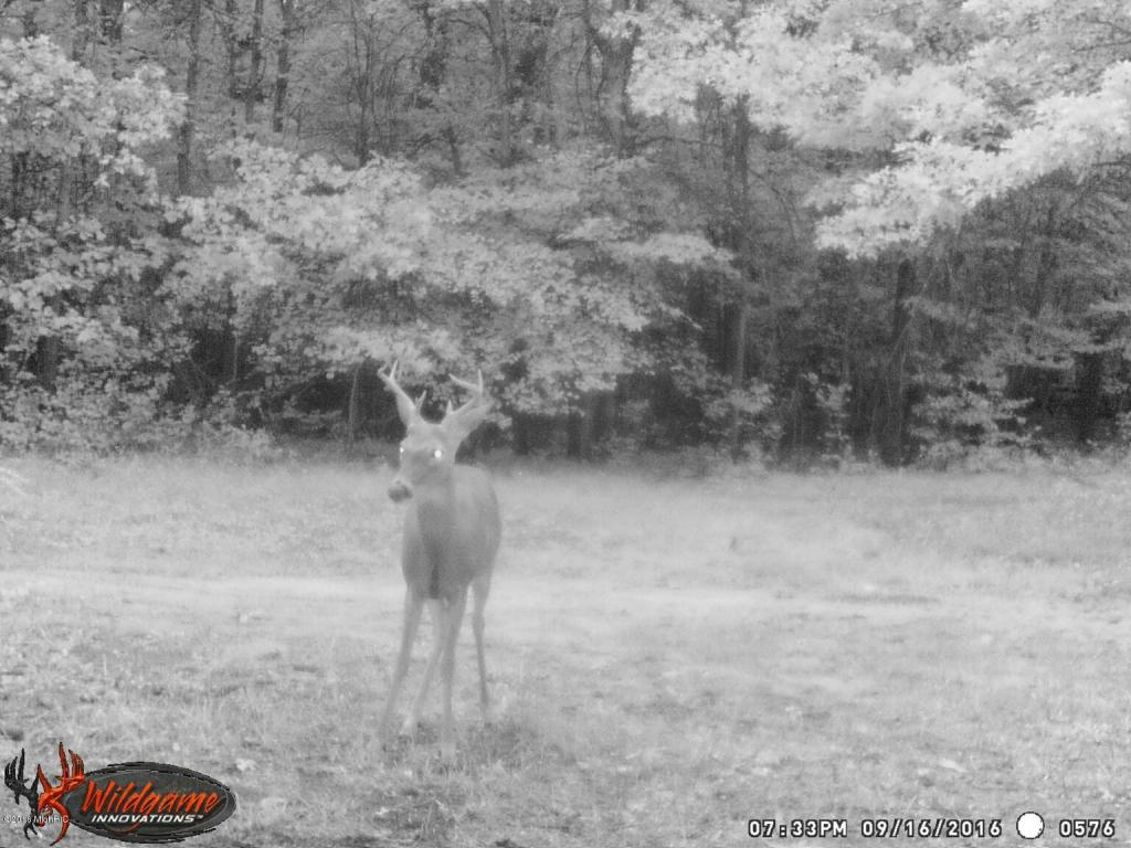 966 E Townline Rd, White Cloud, MI 49349 photo 64